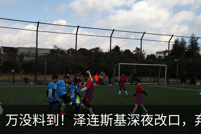 万没料到!泽连斯基深夜改口,弃北约换领土,西方都看懵了!